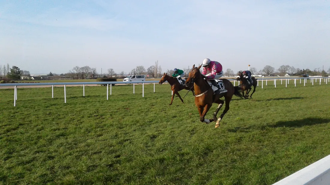 Hippodrome Angers-Obstacle